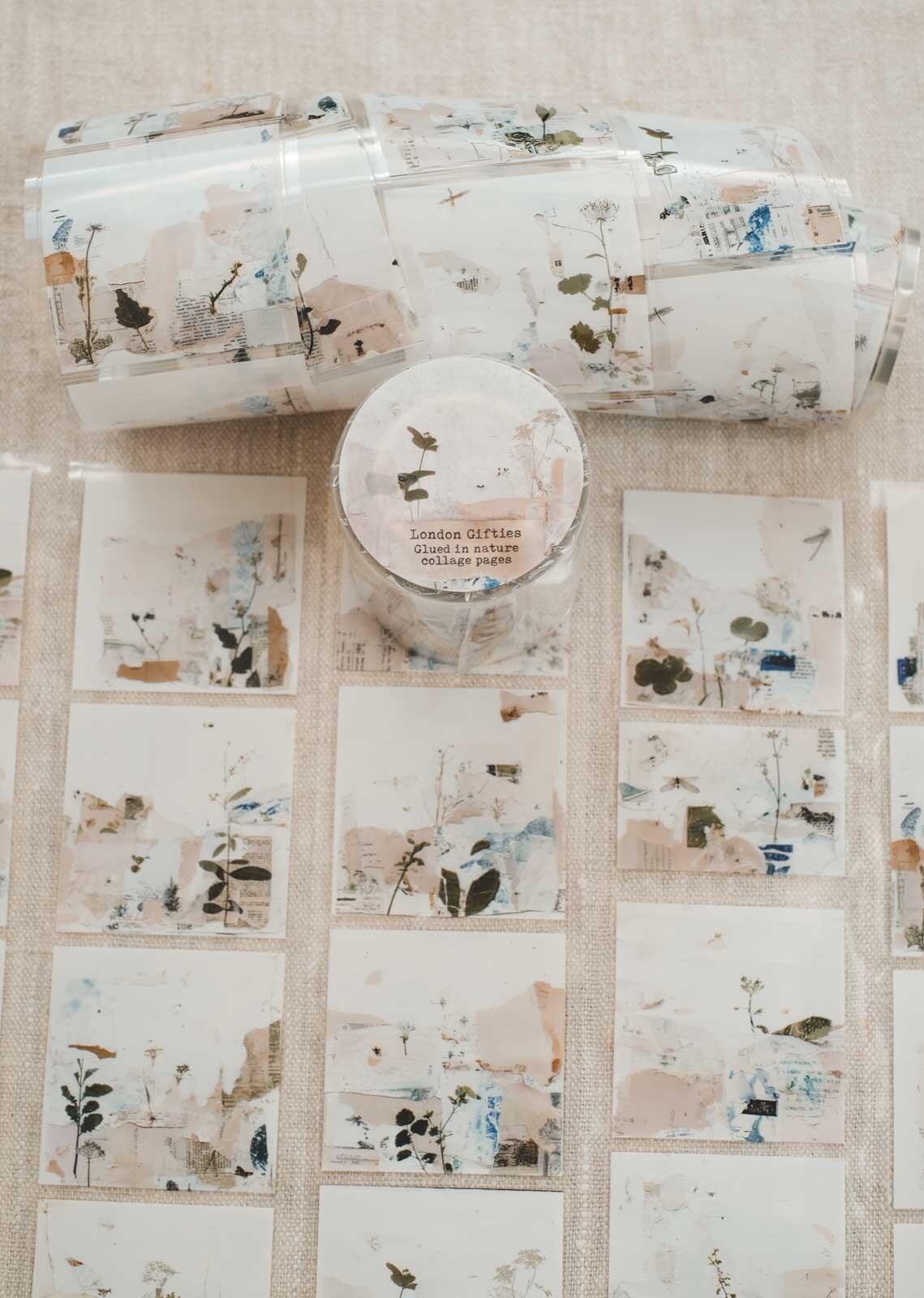 Glued in Nature Collage Pages 6cm Wide Kiss Cut Ink PET Tape — image 12