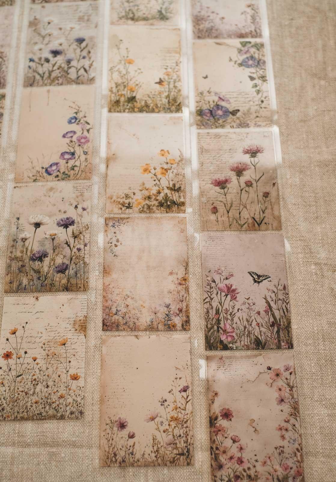 Meadow Flower Vintage Notes 6cm Wide Kiss Cut Ink PET Tape — image 5