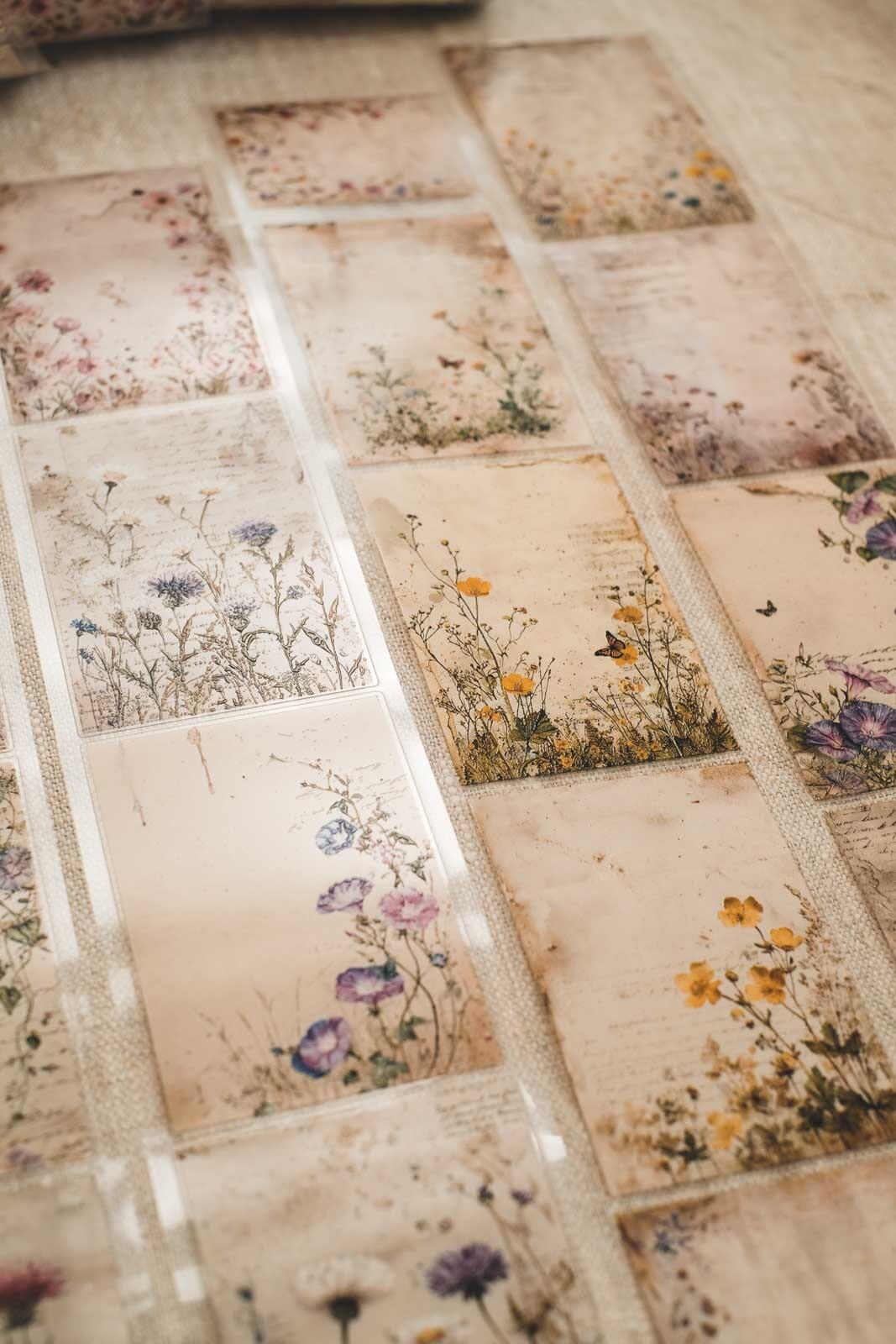 Meadow Flower Vintage Notes 6cm Wide Kiss Cut Ink PET Tape — image 8