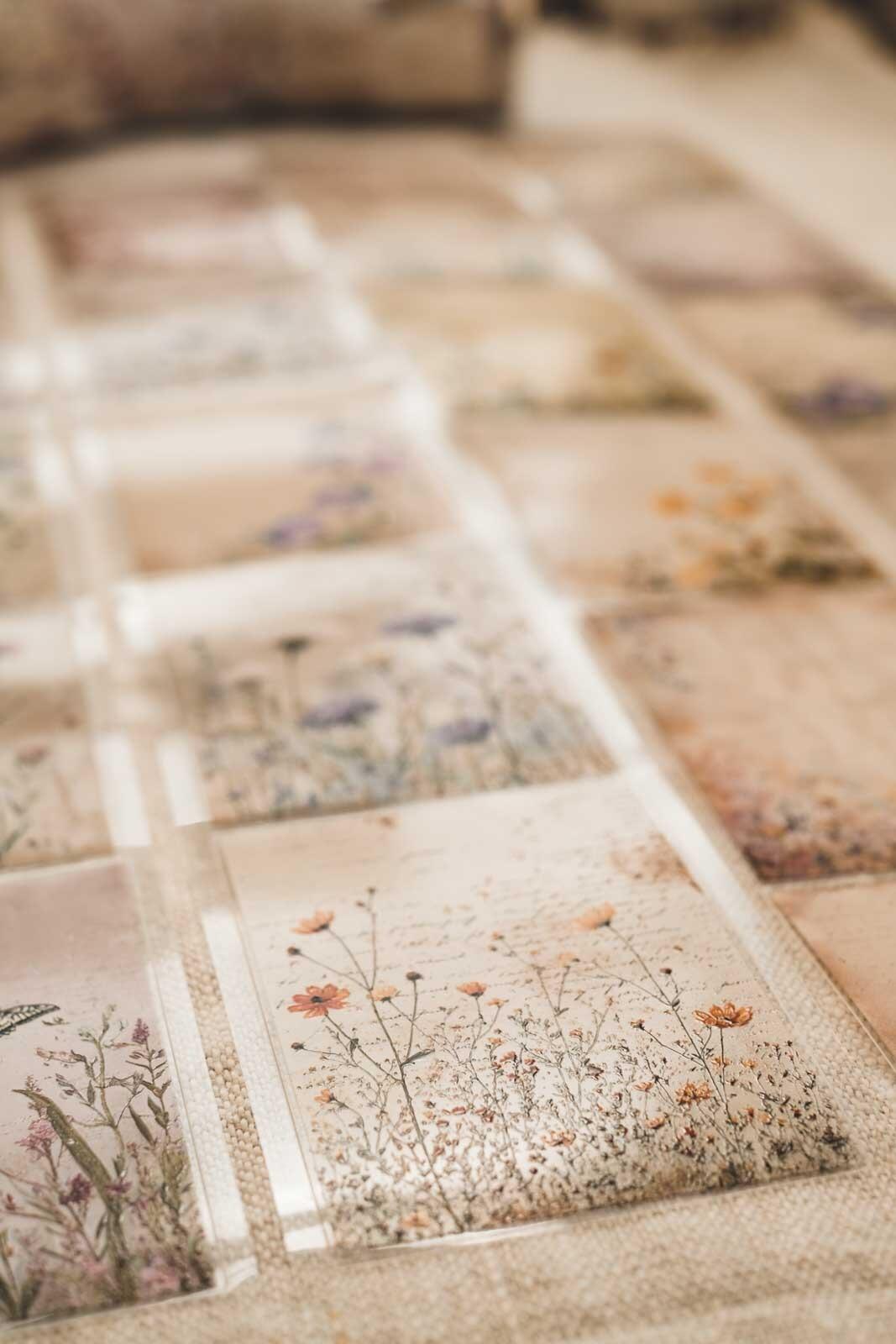 Meadow Flower Vintage Notes 6cm Wide Kiss Cut Ink PET Tape — image 10