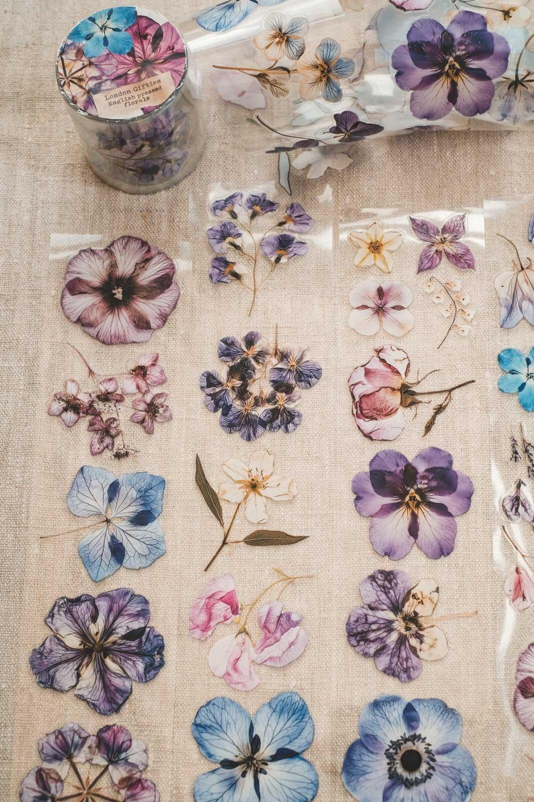 English Pressed Florals 6cm Wide Kiss Cut Ink PET Tape — image 3