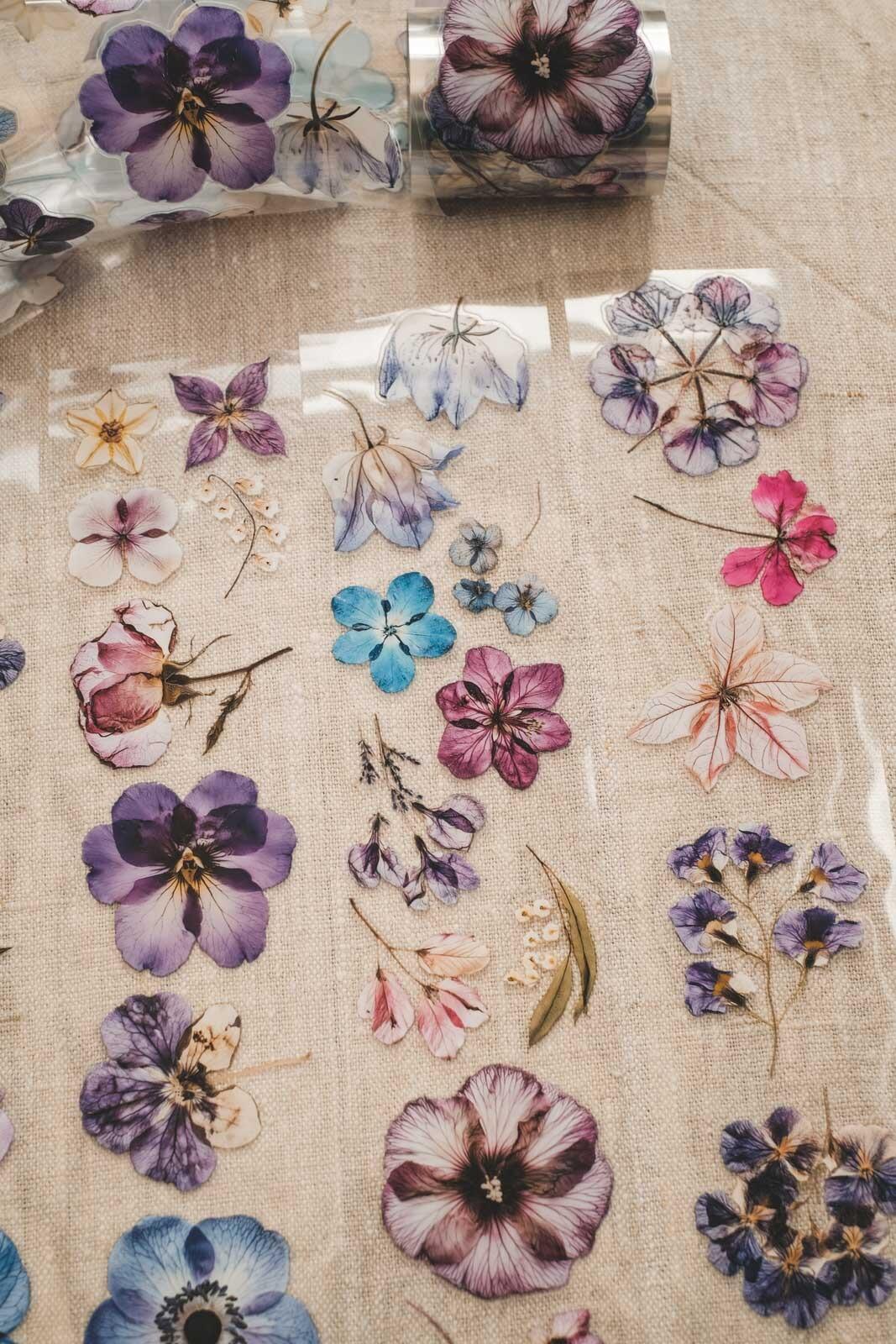 English Pressed Florals 6cm Wide Kiss Cut Ink PET Tape — image 4