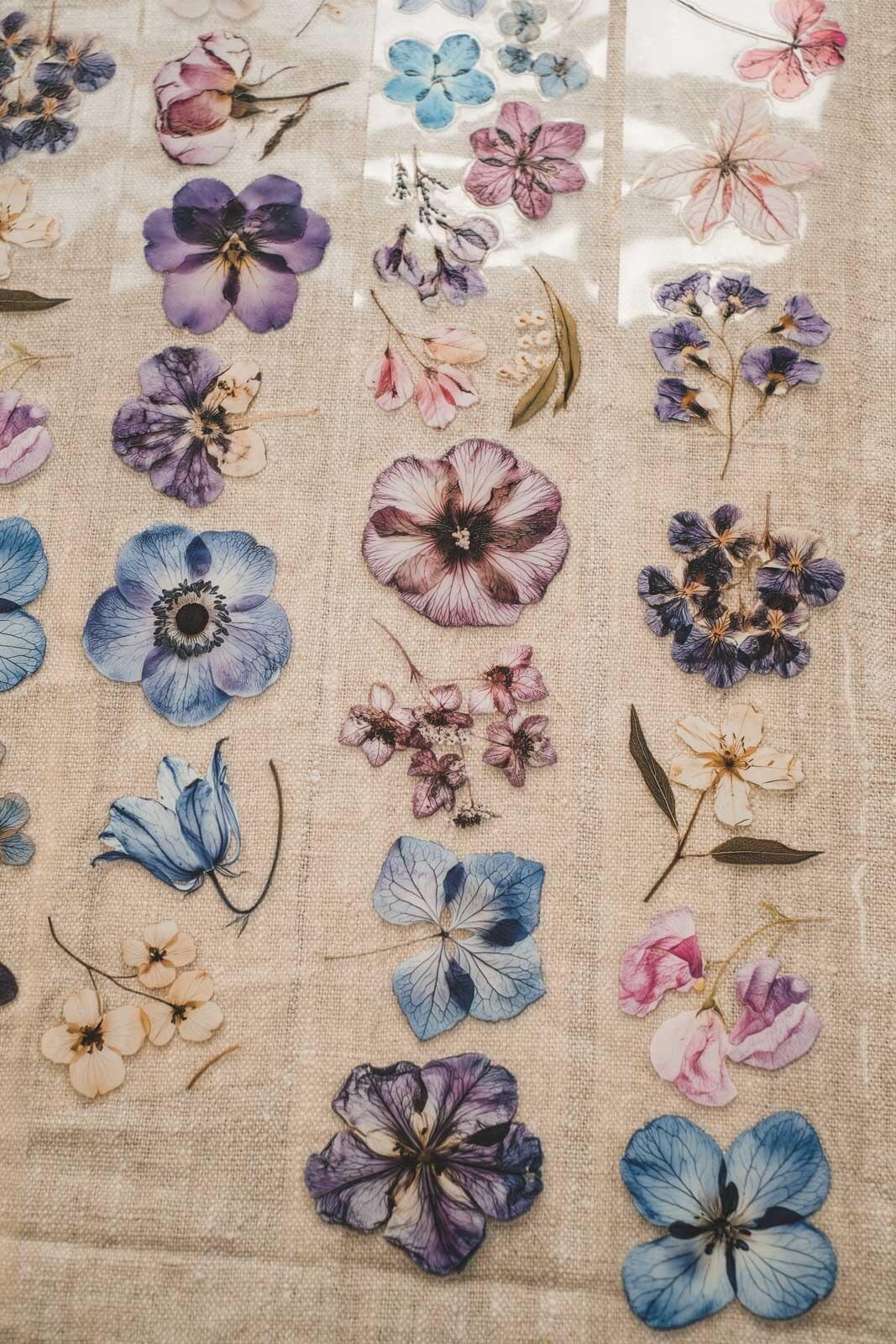 English Pressed Florals 6cm Wide Kiss Cut Ink PET Tape — image 5