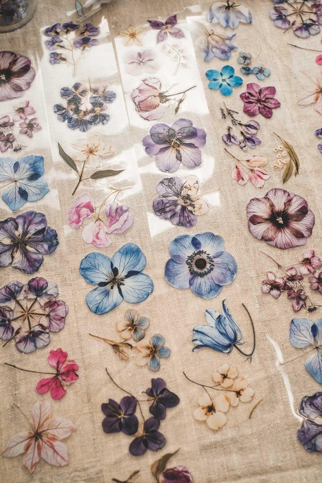 English Pressed Florals 6cm Wide Kiss Cut Ink PET Tape — image 6