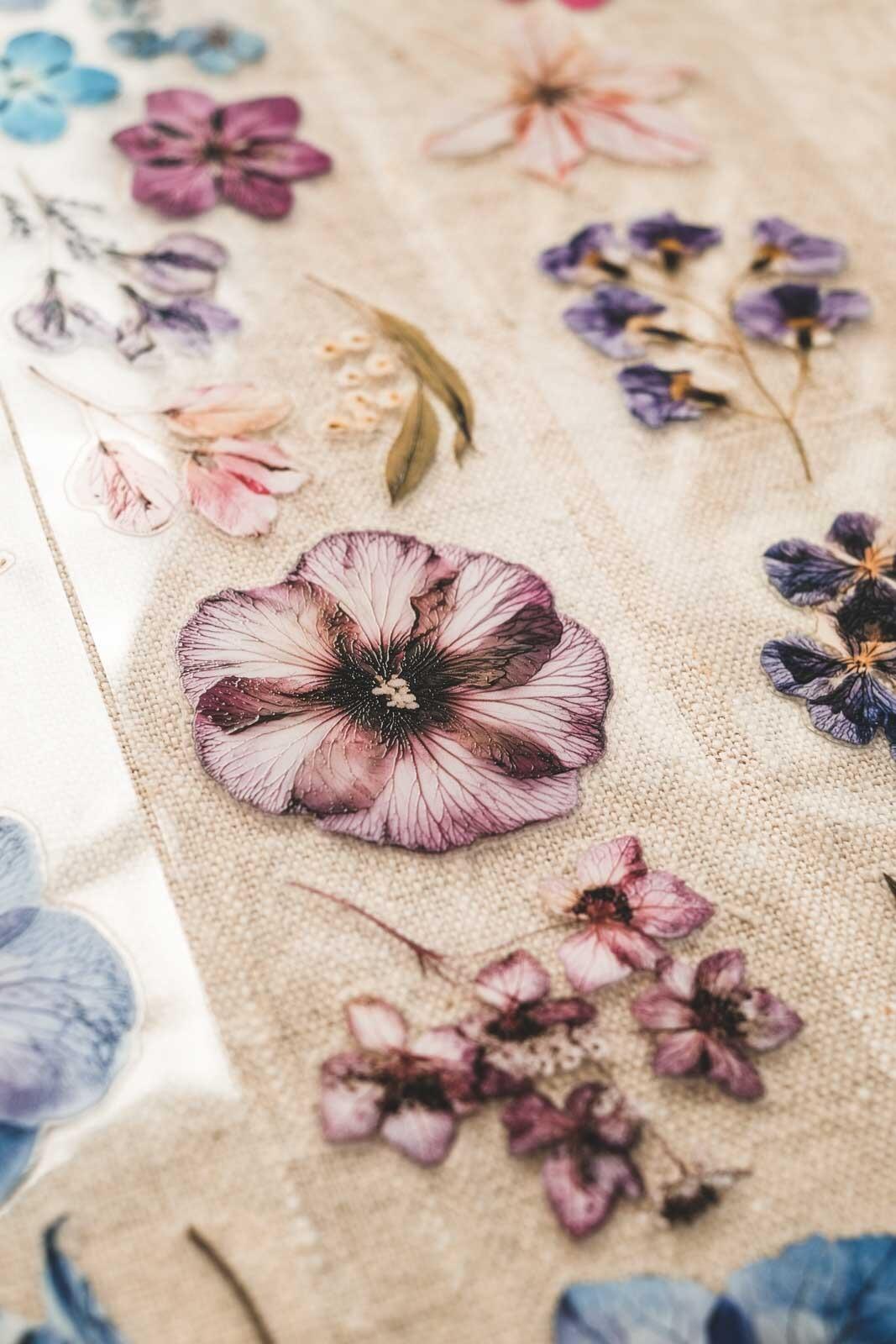 English Pressed Florals 6cm Wide Kiss Cut Ink PET Tape — image 9