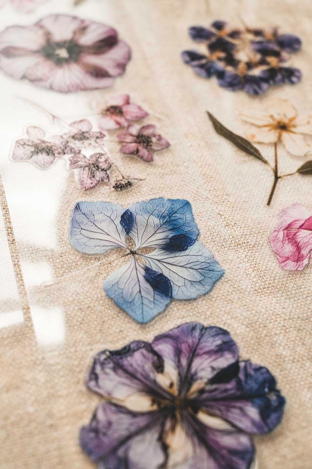 English Pressed Florals 6cm Wide Kiss Cut Ink PET Tape — image 12