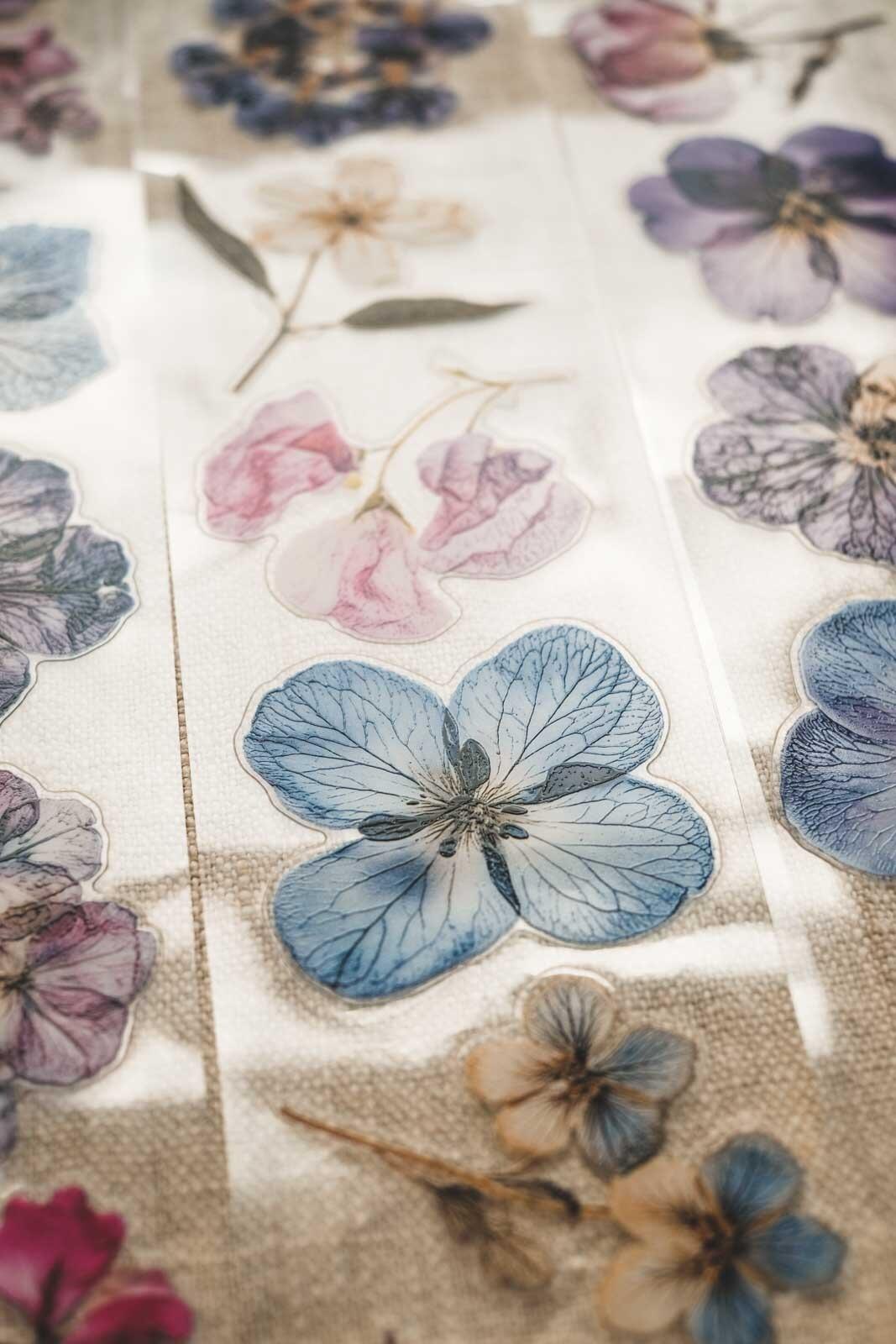 English Pressed Florals 6cm Wide Kiss Cut Ink PET Tape — image 13