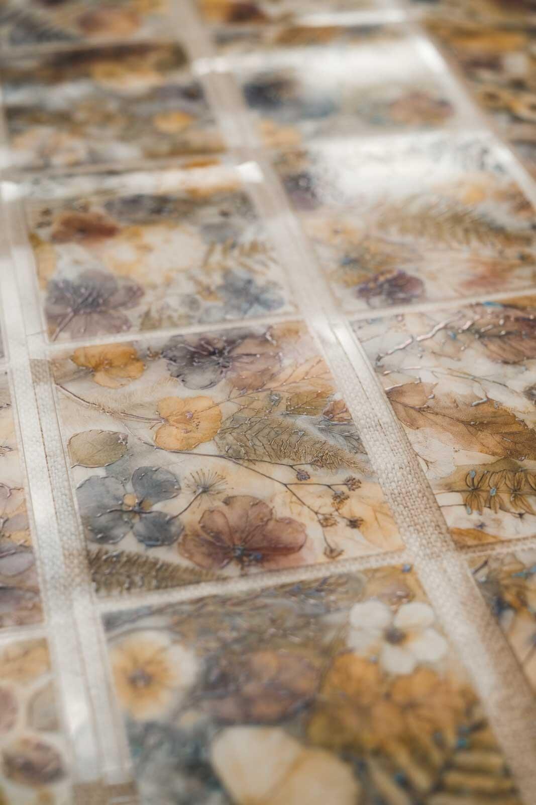 Freshly Pressed Florals & Ferns 6cm Wide Holographic Kiss-Cut 3D Gloss PET Tape — image 9