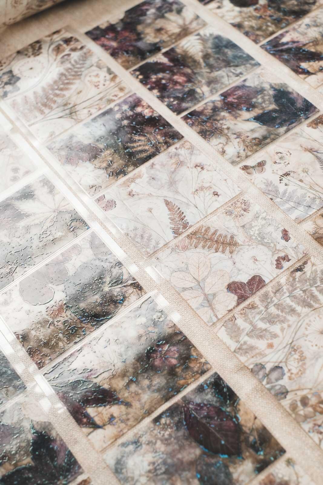 Pressed Autumnal Florals 8cm Wide Holographic Kiss-Cut 3D Gloss PET Tape — image 13