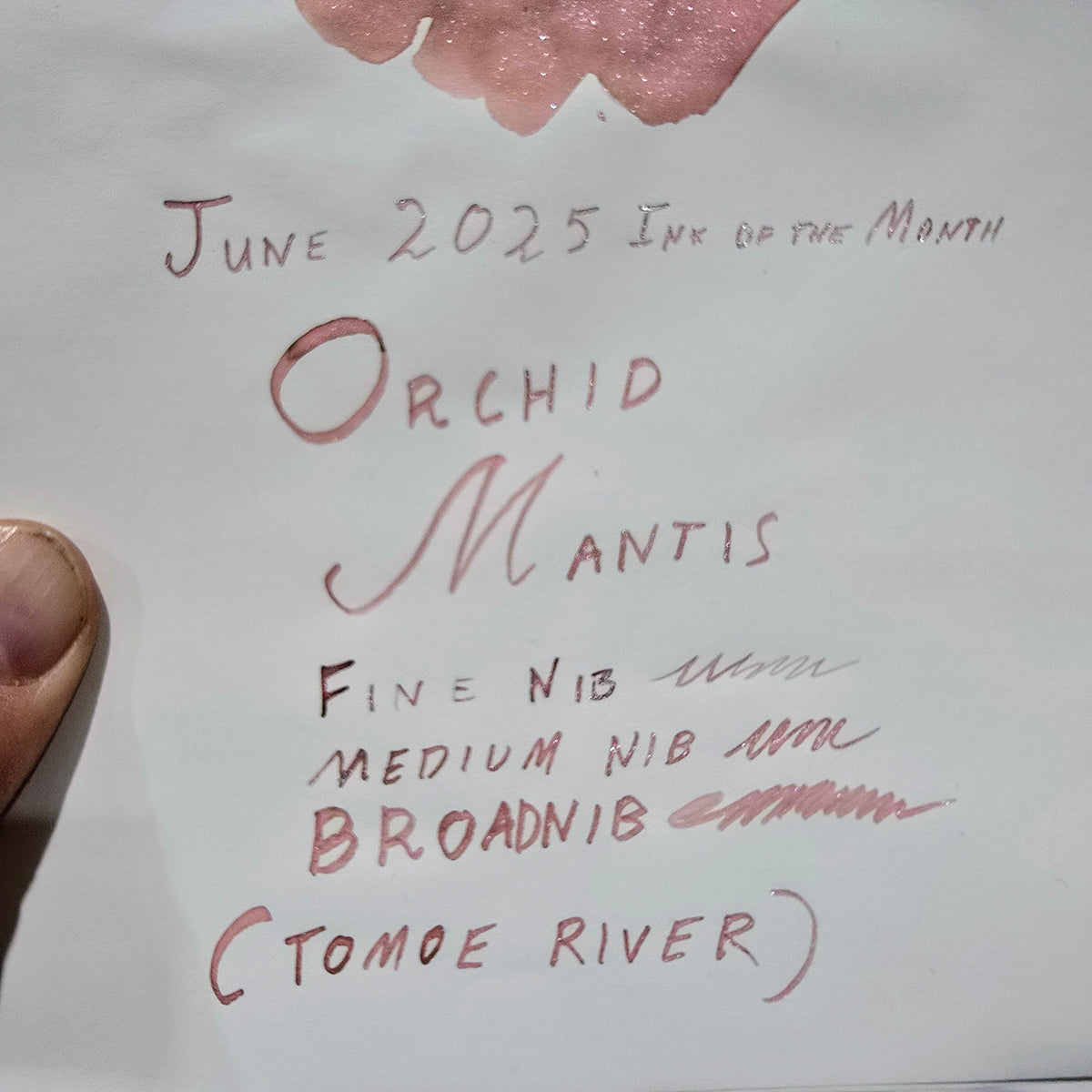 2025 Ink of the Month - Orchid Mantis - 4ml Fountain Pen Ink Sample