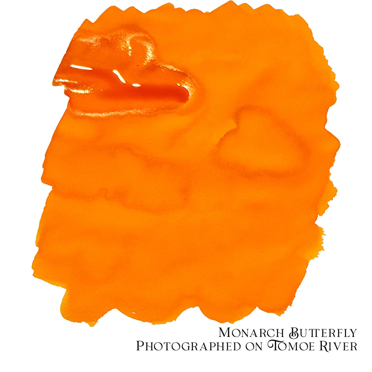 2025 Ink of the Month - Monarch Butterfly - 4ml Fountain Pen Ink Sample